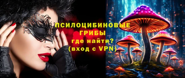дмт Алексеевка