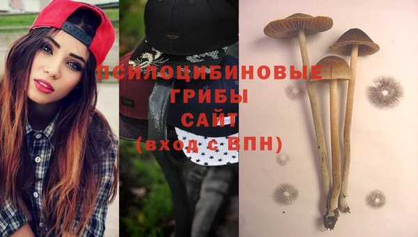 mix Алексин