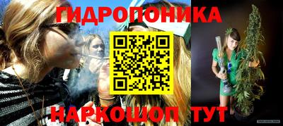 стаф Краснодар