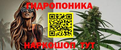 стаф Краснодар