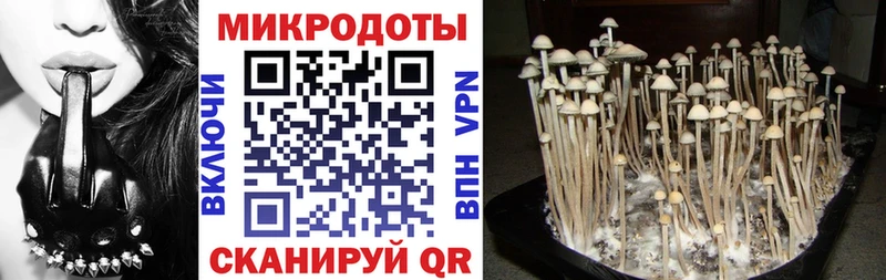 где можно купить   Ижевск  Псилоцибиновые грибы мухоморы 