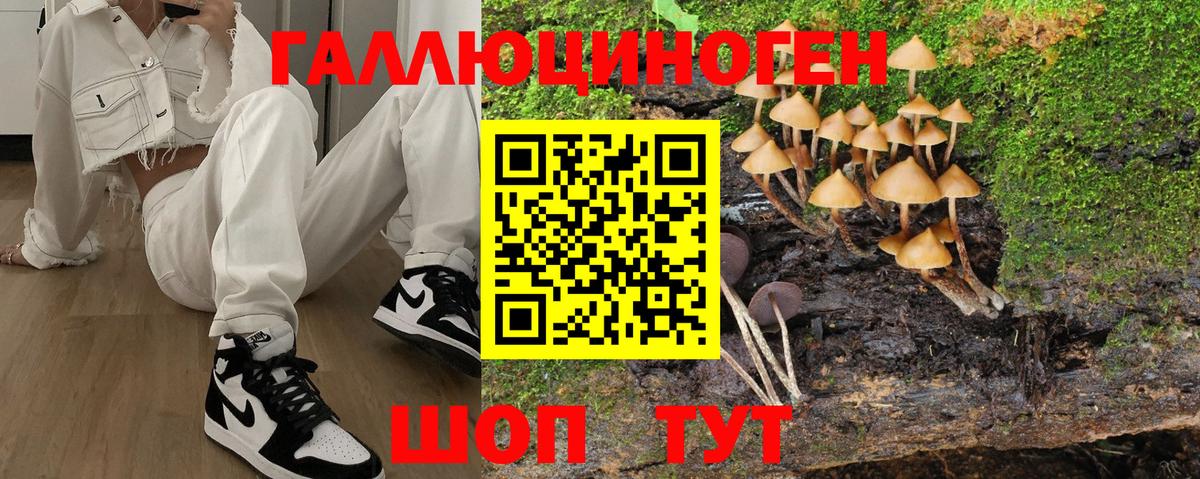 сколько стоит  Вход с VPN  Ижевск  Псилоцибиновые грибы ЛСД 