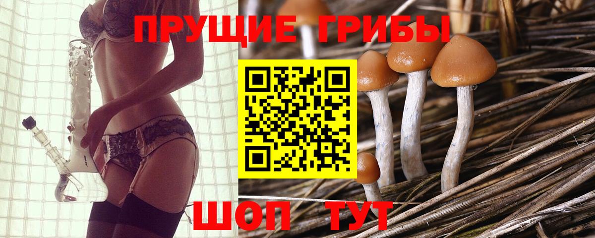 Псилоцибиновые грибы GOLDEN TEACHER Ижевск