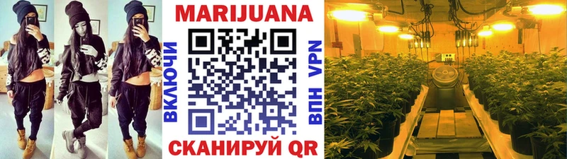 сколько стоит  Ижевск  блэк спрут ссылка  Каннабис OG Kush 